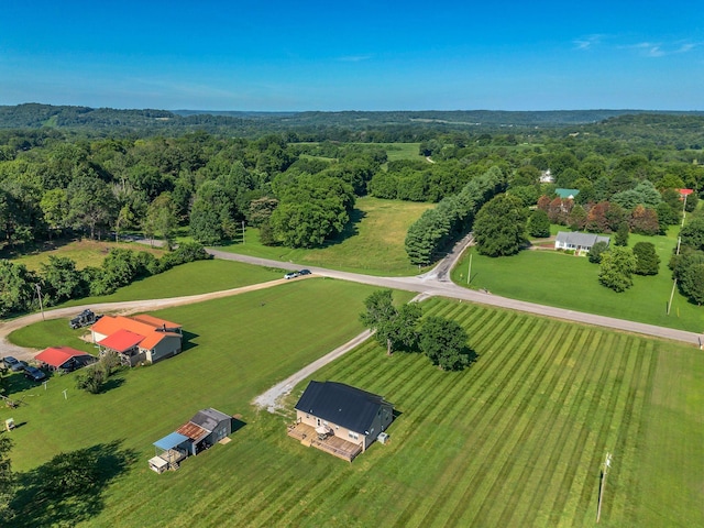 3729 Jimmy Gray Robinson Rd, Williamsport, TN 38487 - photo 40