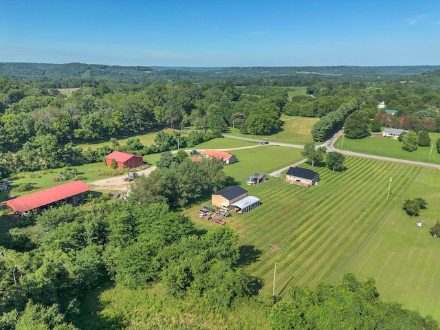 3729 Jimmy Gray Robinson Rd, Williamsport, TN 38487 - photo 41