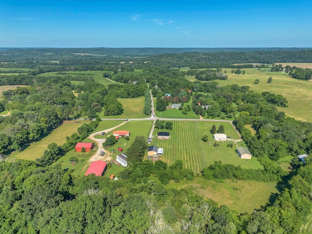 3729 Jimmy Gray Robinson Rd, Williamsport, TN 38487 - photo 42