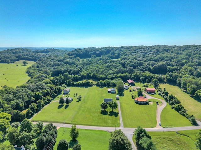 3729 Jimmy Gray Robinson Rd, Williamsport, TN 38487 - photo 34