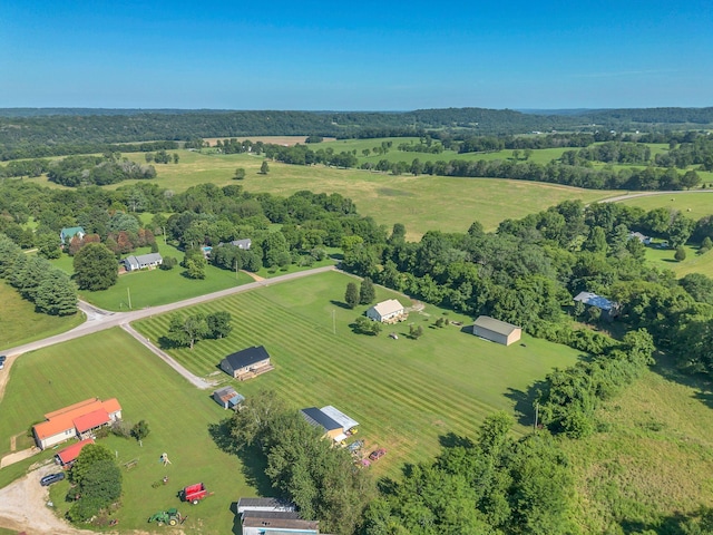3729 Jimmy Gray Robinson Rd, Williamsport, TN 38487 - photo 43
