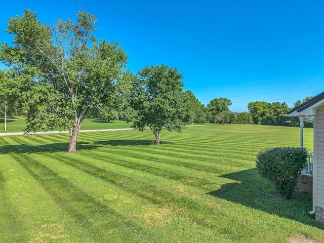 3729 Jimmy Gray Robinson Rd, Williamsport, TN 38487 - photo 33