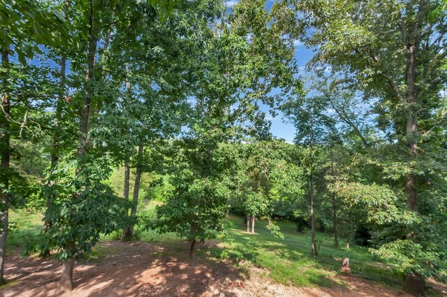 20151 Ben Fly Rd, Lyles, TN 37098 - view of nature