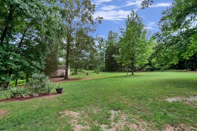 20151 Ben Fly Rd, Lyles, TN 37098 - view of grassy yard featuring view of wooded area