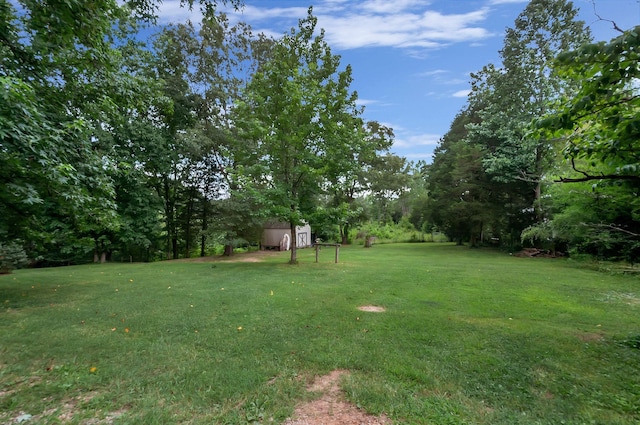 20151 Ben Fly Rd, Lyles, TN 37098 - view of grassy yard with a shed