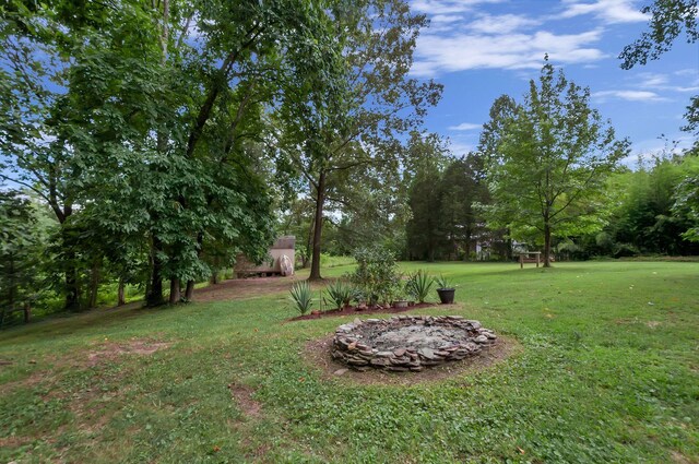 20151 Ben Fly Rd, Lyles, TN 37098 - view of grassy yard with view of scattered trees