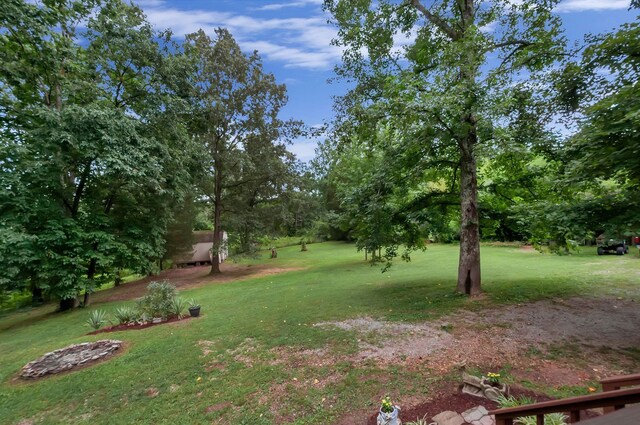 20151 Ben Fly Rd, Lyles, TN 37098 - view of grassy yard with view of scattered trees