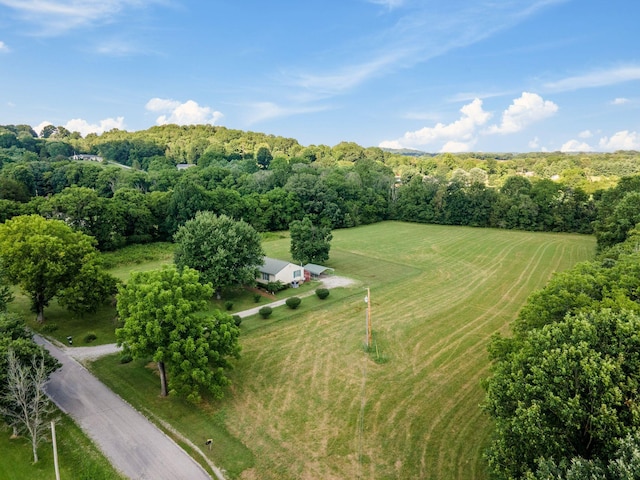4628 Dugger Rd, Culleoka, TN 38451 - overview of rural landscape with a forest