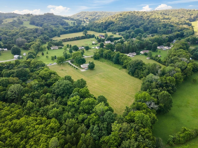 4628 Dugger Rd, Culleoka, TN 38451 - view of rural area