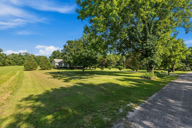 4628 Dugger Rd, Culleoka, TN 38451 - view of green lawn