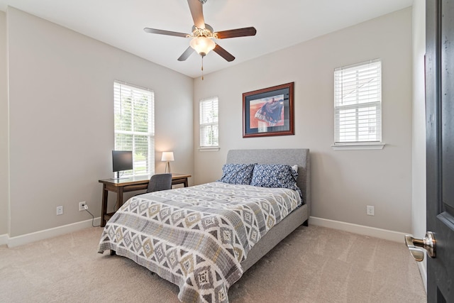 1132 Princeton Hills Dr, Nolensville, TN 37135 - photo 29