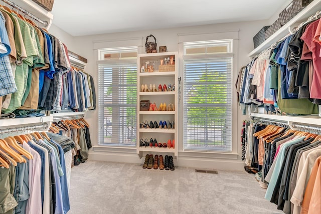607 Beamon Dr, Franklin, TN 37064 - walk in closet featuring carpet flooring