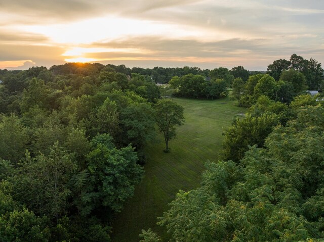 7365 Coldwater Rd, Fairview, TN 37062 - aerial view at dusk