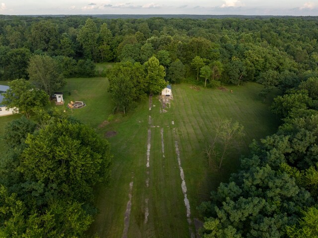 7365 Coldwater Rd, Fairview, TN 37062 - aerial view of property and surrounding area featuring a forest and rural landscape