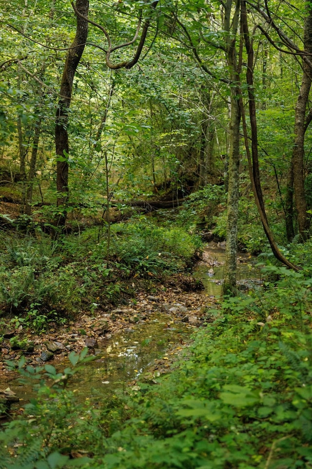 7365 Coldwater Rd, Fairview, TN 37062 - view of wooded area