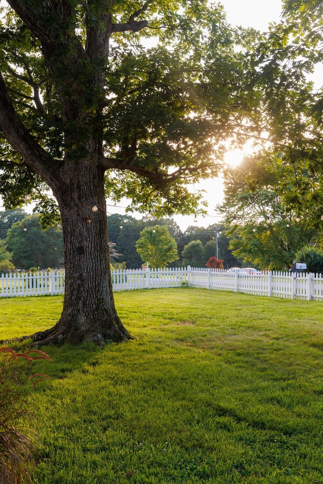 7365 Coldwater Rd, Fairview, TN 37062 - view of yard