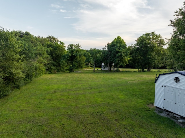 7365 Coldwater Rd, Fairview, TN 37062 - view of green lawn featuring a storage shed