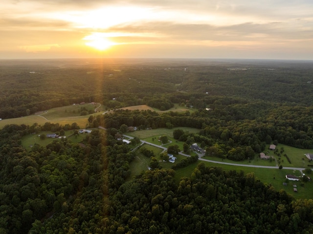 7365 Coldwater Rd, Fairview, TN 37062 - aerial overview of property's location featuring a forest