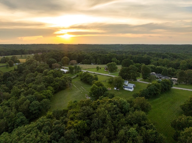 7365 Coldwater Rd, Fairview, TN 37062 - aerial view at dusk of a forest view