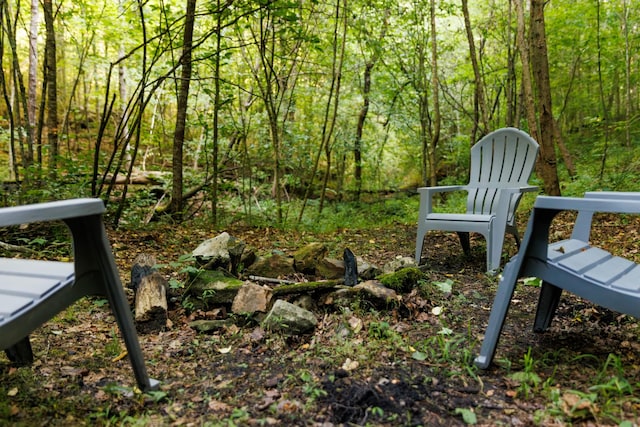 7365 Coldwater Rd, Fairview, TN 37062 - view of yard with a forest view