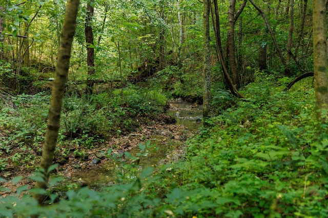 7365 Coldwater Rd, Fairview, TN 37062 - view of woods