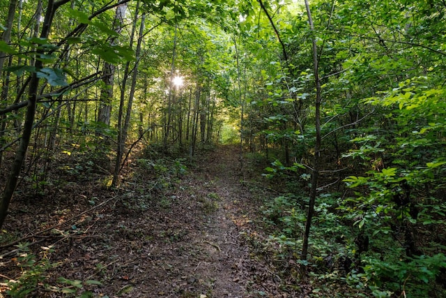 7365 Coldwater Rd, Fairview, TN 37062 - view of wooded area