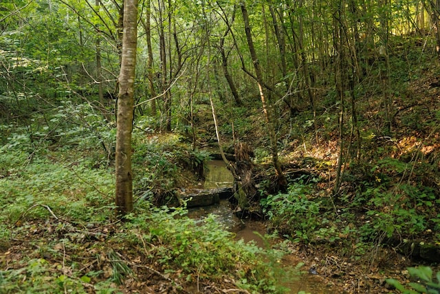 7365 Coldwater Rd, Fairview, TN 37062 - view of nature