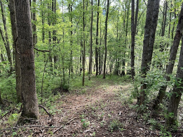 0 Globe Rd, Lewisburg, TN 37091