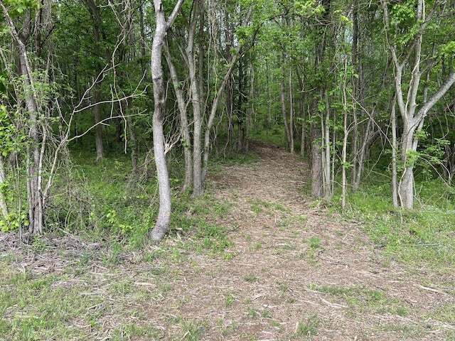 0 Globe Rd, Lewisburg, TN 37091