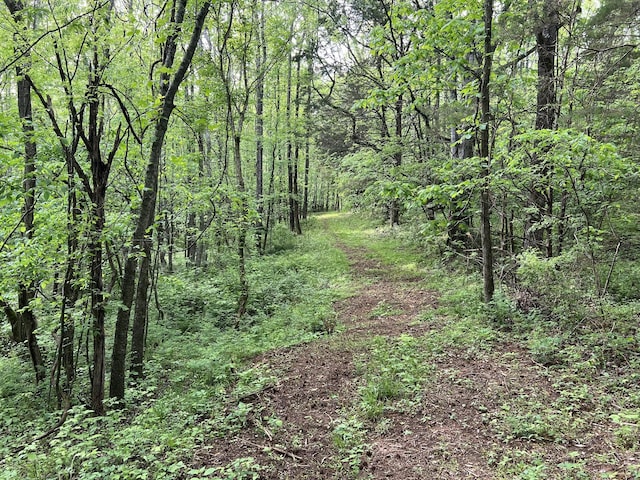 0 Globe Rd, Lewisburg, TN 37091