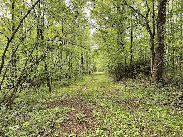 0 Globe Rd, Lewisburg, TN 37091
