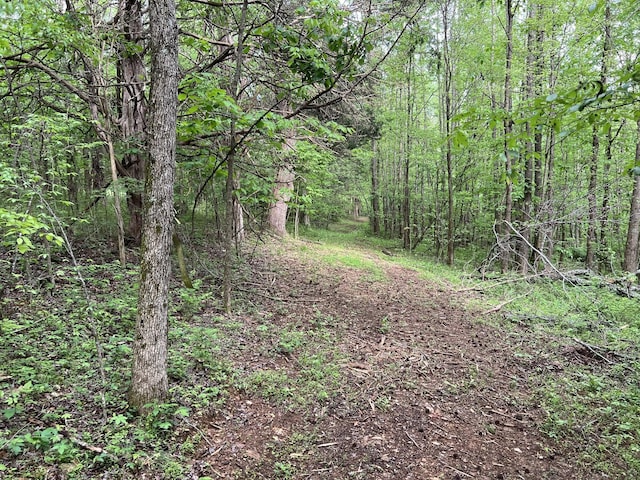 0 Globe Rd, Lewisburg, TN 37091