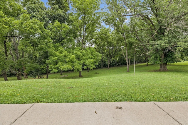 2617 Lishwood Dr, Nashville, TN 37214 - photo 38