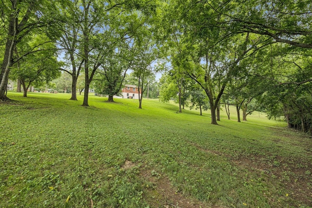 2617 Lishwood Dr, Nashville, TN 37214 - photo 35