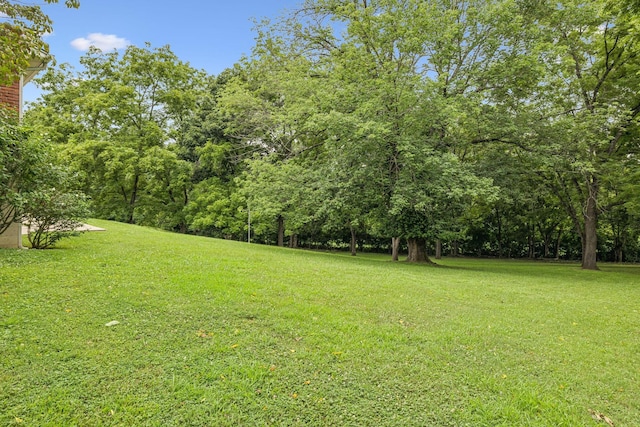 2617 Lishwood Dr, Nashville, TN 37214 - photo 36