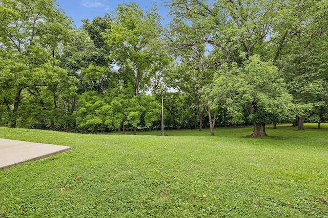 2617 Lishwood Dr, Nashville, TN 37214 - photo 39