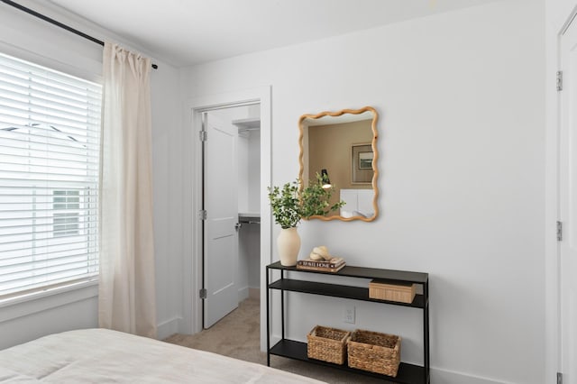 700 N Dupont Ave Unit 207, Madison, TN 37115 - bedroom featuring a spacious closet, carpet flooring, and a closet