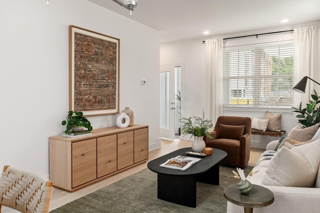 700 N Dupont Ave Unit 207, Madison, TN 37115 - living room featuring light wood finished floors and recessed lighting