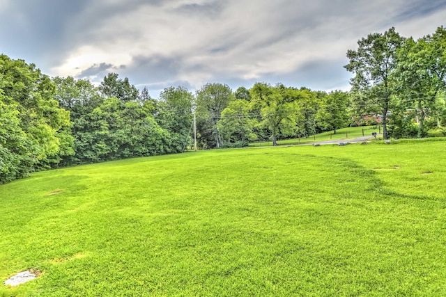 3524 Callis Rd, Lebanon, TN 37090 - photo 2