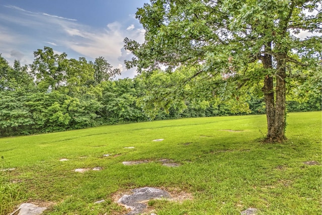 3524 Callis Rd, Lebanon, TN 37090 - photo 3