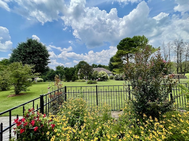 973 Rip Steele Rd, Columbia, TN 38401 - view of yard featuring a view of countryside