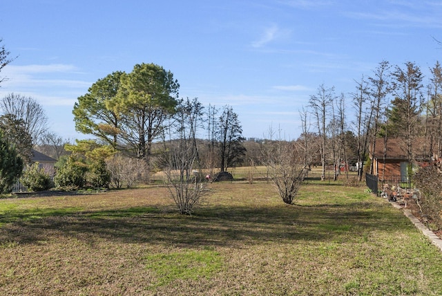 973 Rip Steele Rd, Columbia, TN 38401 - view of yard