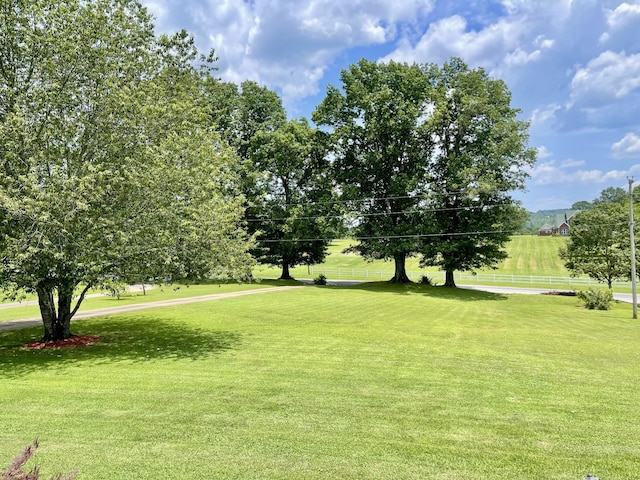 973 Rip Steele Rd, Columbia, TN 38401 - view of yard