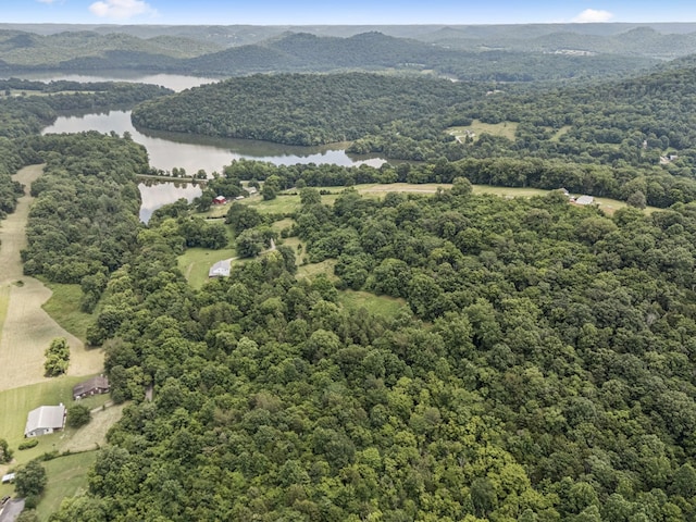 13 Grisham Hollow Ln, Elmwood, TN 38560 - photo 37