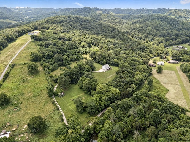 13 Grisham Hollow Ln, Elmwood, TN 38560 - photo 41