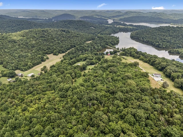 13 Grisham Hollow Ln, Elmwood, TN 38560 - photo 35