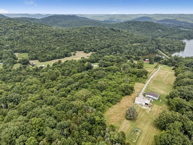 13 Grisham Hollow Ln, Elmwood, TN 38560 - photo 33