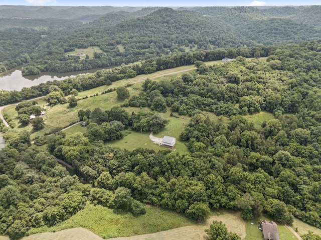 13 Grisham Hollow Ln, Elmwood, TN 38560 - photo 38