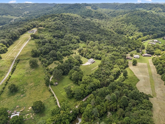 13 Grisham Hollow Ln, Elmwood, TN 38560 - photo 39