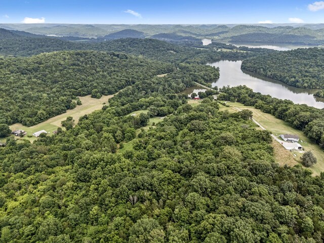 13 Grisham Hollow Ln, Elmwood, TN 38560 - photo 34